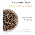OEM Husdjur Frystorkat Cubed Biff Cat Dog Snack